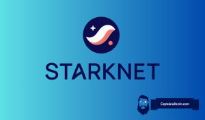 Starknet 推出 STRK 和 strkBTC 持有者专属 VIP 计划
