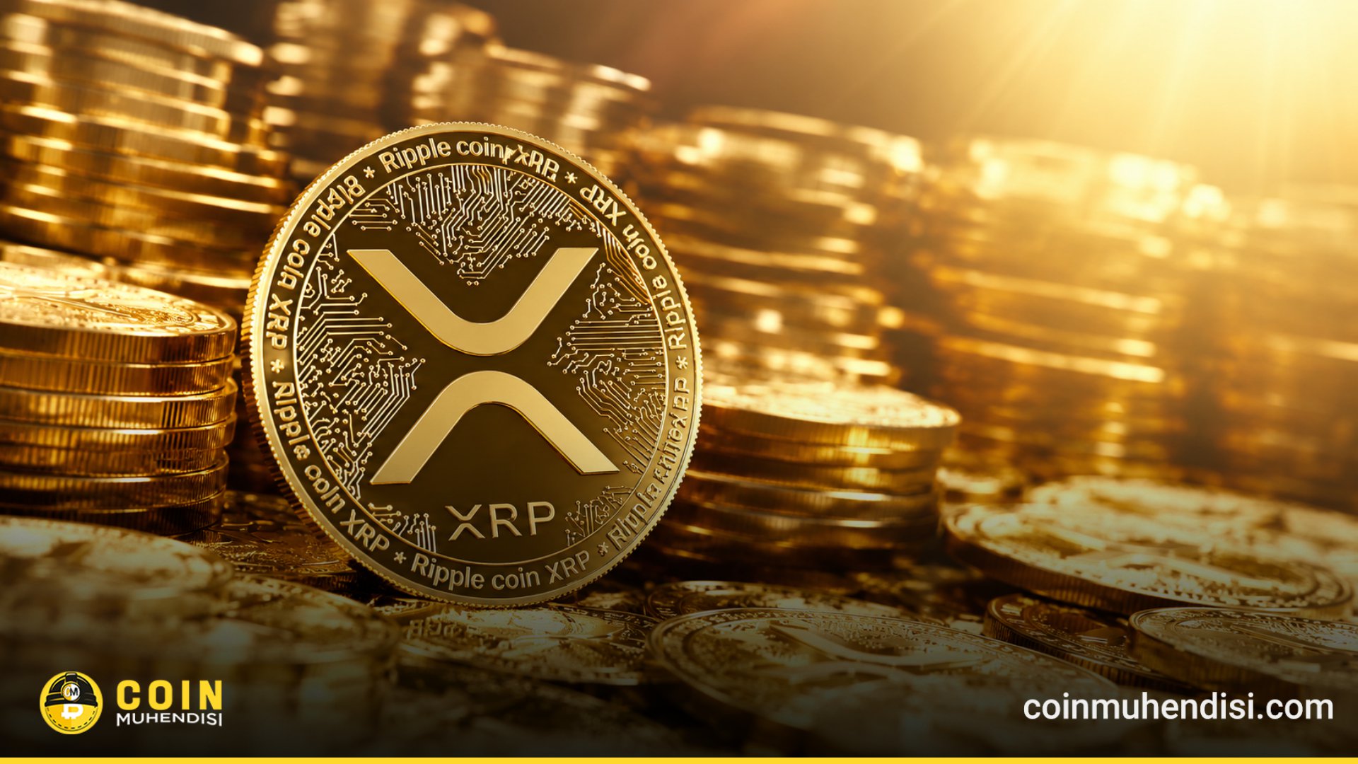 XRP 转账量达7个月新高：为何？