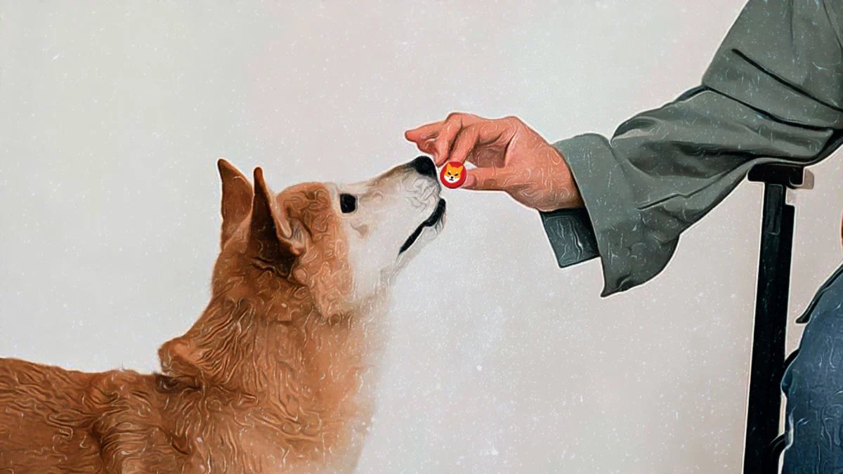 柴犬币第三季度飙升后难以重拾涨势